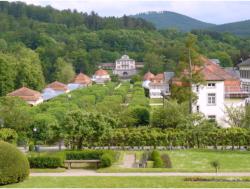 Das Staatsbad Bad Brckenau